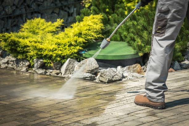 Best Roof Cleaning and Mildew Removal in Chesapeake, VA