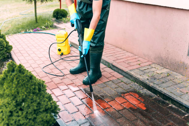 Best Brick and Stone Cleaning in Chesapeake, VA