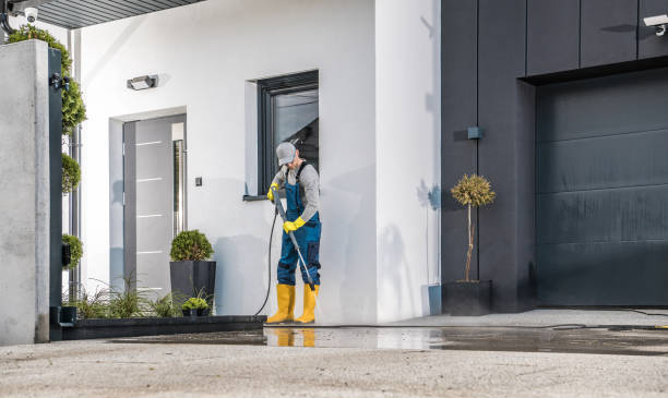 Best Sidewalk and Walkway Pressure Cleaning in Chesapeake, VA